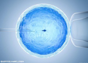 关于素竹生殖
